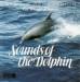Gentle Persuasion - Sounds Of The Dolphin