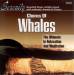 John St. John - Chorus Of Whales